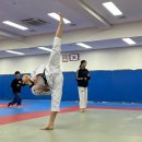 한백경희대태권도장 이미지