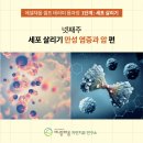셀프 건강 테라피 이미지