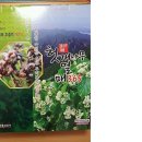 강화홍삼(주) 이미지