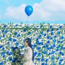 블루밍(blueming)