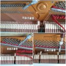 다인로얄팰리스배곧5차(배곧로얄팰리스5차) 이미지