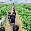 선우어린이집 이미지