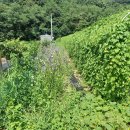 풍년농장 이미지