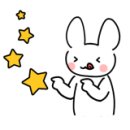 트렌독 이미지