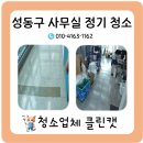 클린캣 청소업체
