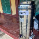 보석사   은행나무 | [금산] 보석사 천년 은행나무