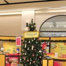 폴폴스토어 이미지