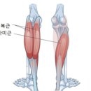 쉼 피트니스 이미지