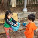 보영농장 이미지