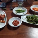 송백돼지국밥 티스토리