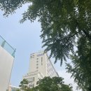 용산-현장-906 | [몬드리안 서울 이태원] 숙박 수영장 이용후기 호캉스 호텔 추천
