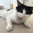 브로우벨로 | 광주 서구 농성동 [브로우벨로] (보정X) 처음해본 속눈썹펌, 속눈썹펌 추천해요! :-) 솔직후기