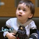 회천지 회타운 | 4박 5일 일본 여행 1탄 / 교토, 오사카