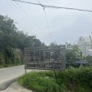 파주 데이트 : [조인폴리아]식물 구경 및 구매후기 | 식물종류 가격 | 희귀식물