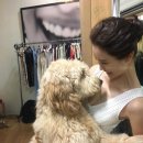 강아지를 부탁해 이미지