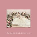 [아펠가모선릉 본식후기] 5월11일 일요일 11시, 따끈따끈한 아펠가모 선릉의 본식 후기 남기러 왔어요...
