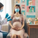 임산부 독감주사 맞아도 될까? 임산부 독감예방접종 무료 후기👶 (시기, 부작용, 병원 찾는 법)