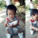 더하우스펜션 이미지
