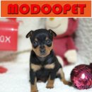 모두와샵 이미지