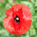 대환농장 이미지