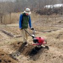 춘아농장 이미지