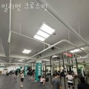 밀리언 크로스핏 이미지