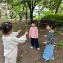 무양공원 놀이터(무양) 이미지