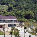 용두주 이미지
