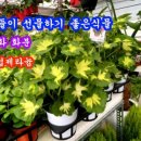 청산화원 이미지