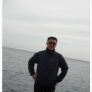 강구어시장 Daum카페
