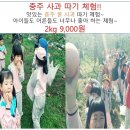 내포긴들체험마을 네이버블로그