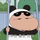 베이비세일 | 자라 키즈,자라베이비 세일 후기,9개월아기,80cm사이즈 착용사진