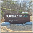 부산치유의숲 방문자센터 | 부산 기장 치유의 숲 입장료 주차 산책로 힐링 후기