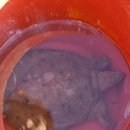 석동정수장 이미지