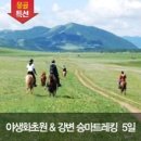 폼나는 여행사 이미지