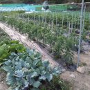 호산나농장 이미지