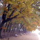 덕양목장1 이미지