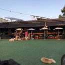 개스타하우스 이미지