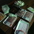 아일랜드코쿤 이미지