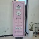 캉스펫 이미지