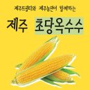 초당(超糖)옥수수 이미지