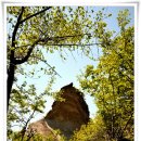 득량남초등학교 이미지