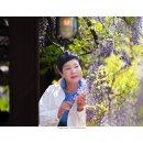 260506 WISTERIA Cafe 이미지