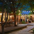 비경 품은 월악산 전망대… 발 아래 ‘악어떼’에 아찔 이미지