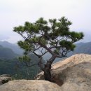 동산남성 이미지