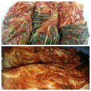 무주반디인력 | 반디팜 칼슘배추 행복한 김장담기 행사