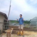 금란농장 이미지