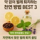 베스트 동물약품 이미지