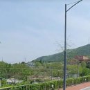 인동농업협동조합주유소 이미지