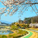 강변길 서천 이미지